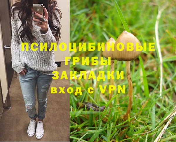 дживик Надым