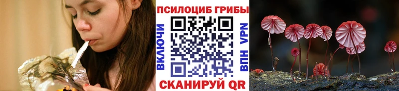 где продают наркотики  Сухиничи  даркнет какой сайт  Псилоцибиновые грибы Magic Shrooms 